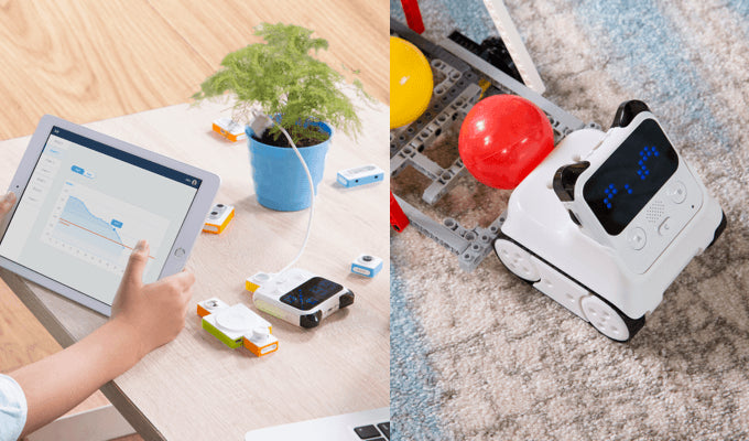 青青伊人 Kickstarts Smart 老师+学生+磁力链接 Codey Rocky for Beginner Coding and AI Learning