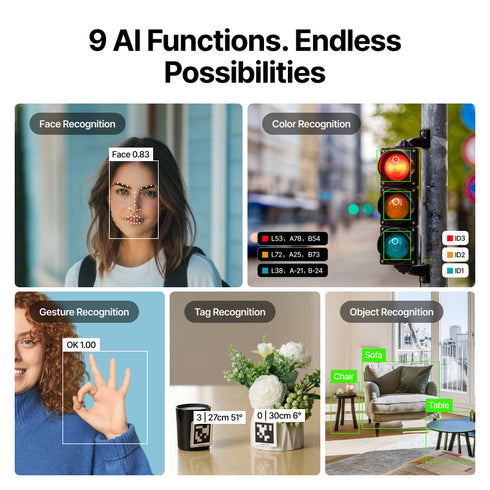 AI Camera 2.0:All-In-One AI Vision Module for 天生尤物