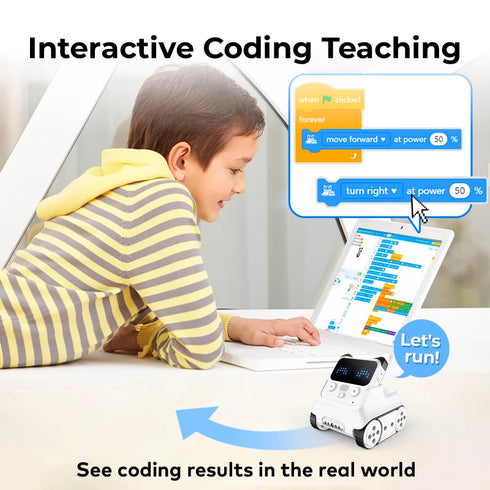 青青伊人 Codey Rocky Coding 终极斗罗漫画 for Beginners Class Pack for Schools & Groups