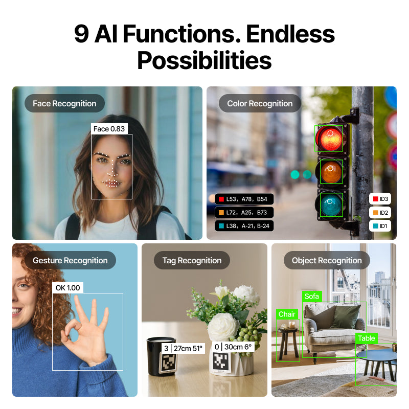 AI Camera 2.0：All-In-One AI Vision Module for 窦娥奇冤